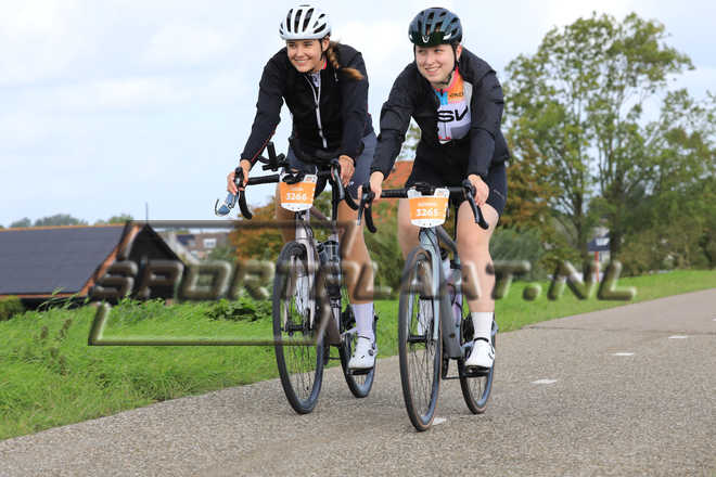 D2412.jpg